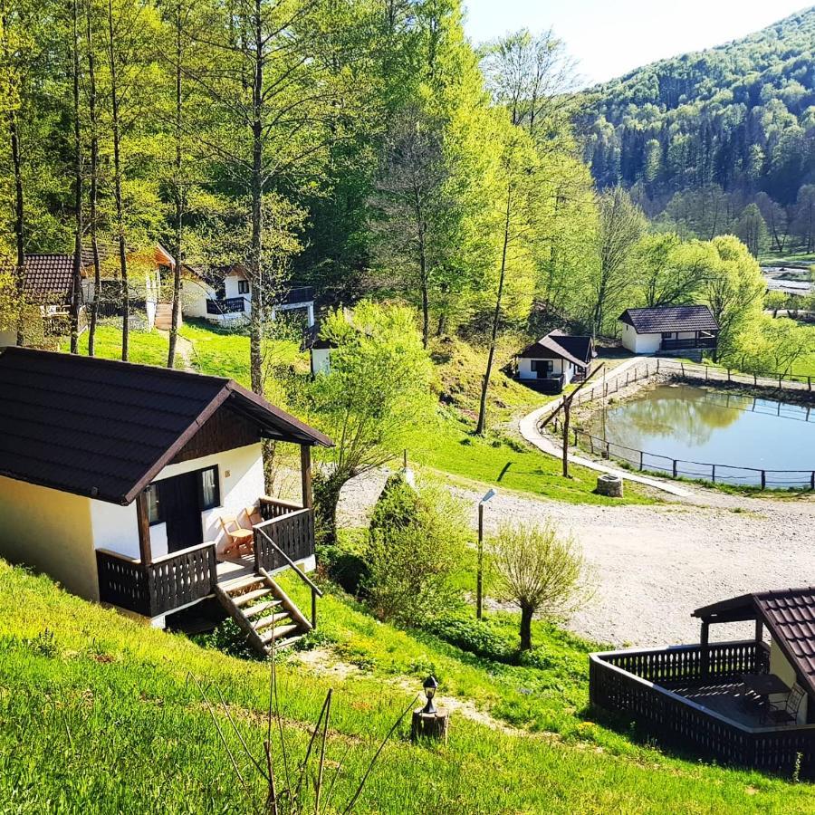 Hotel Satu Muscelean Albestii de Muscel Exterior foto